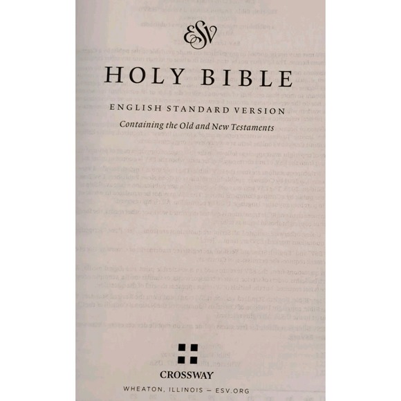 ESV Value Large Print Compact Bible TruTone Teal Ornament Design NEW - Picture 7 of 10